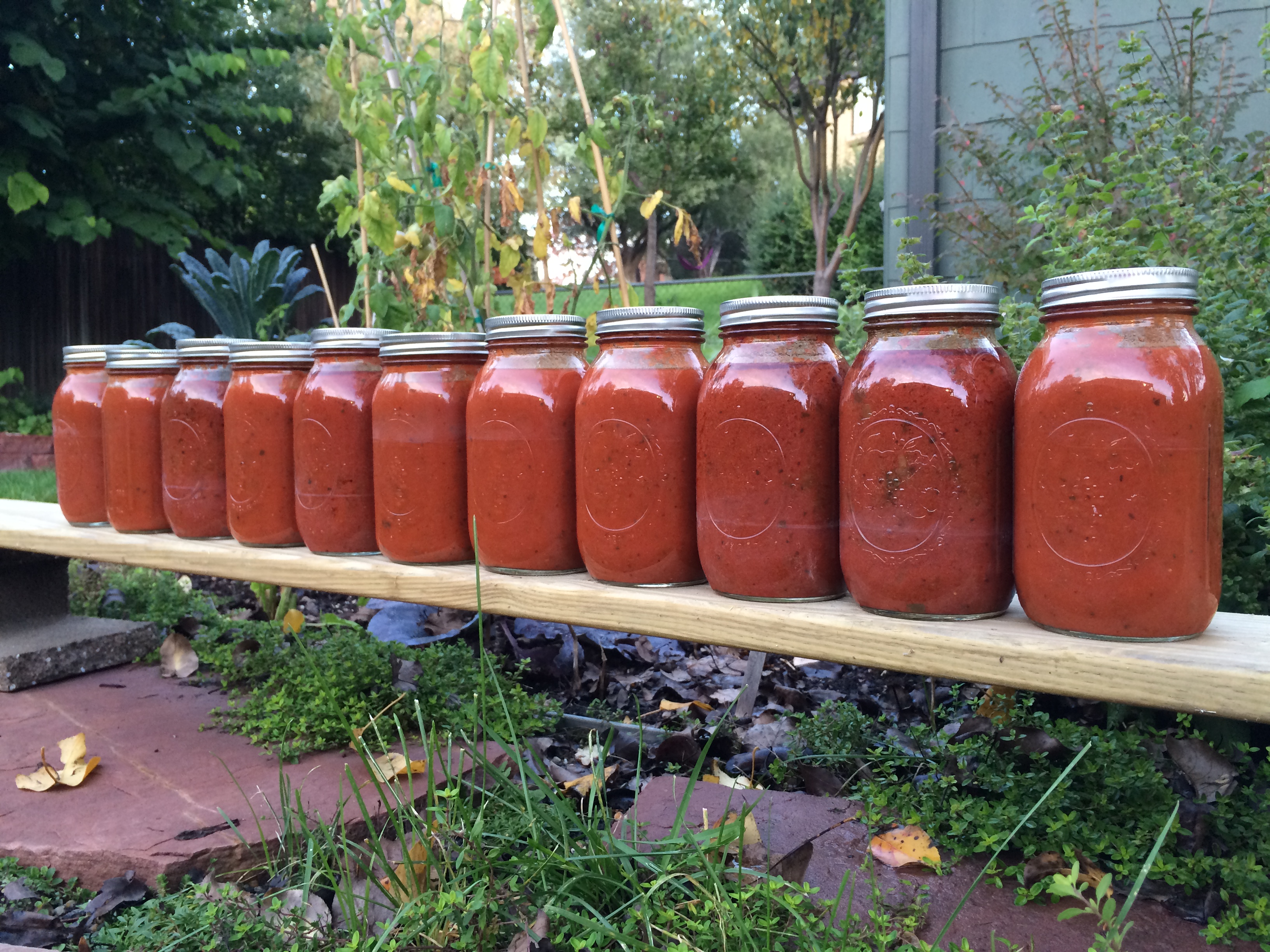 jars-of-tomato-sauce-holly-flora