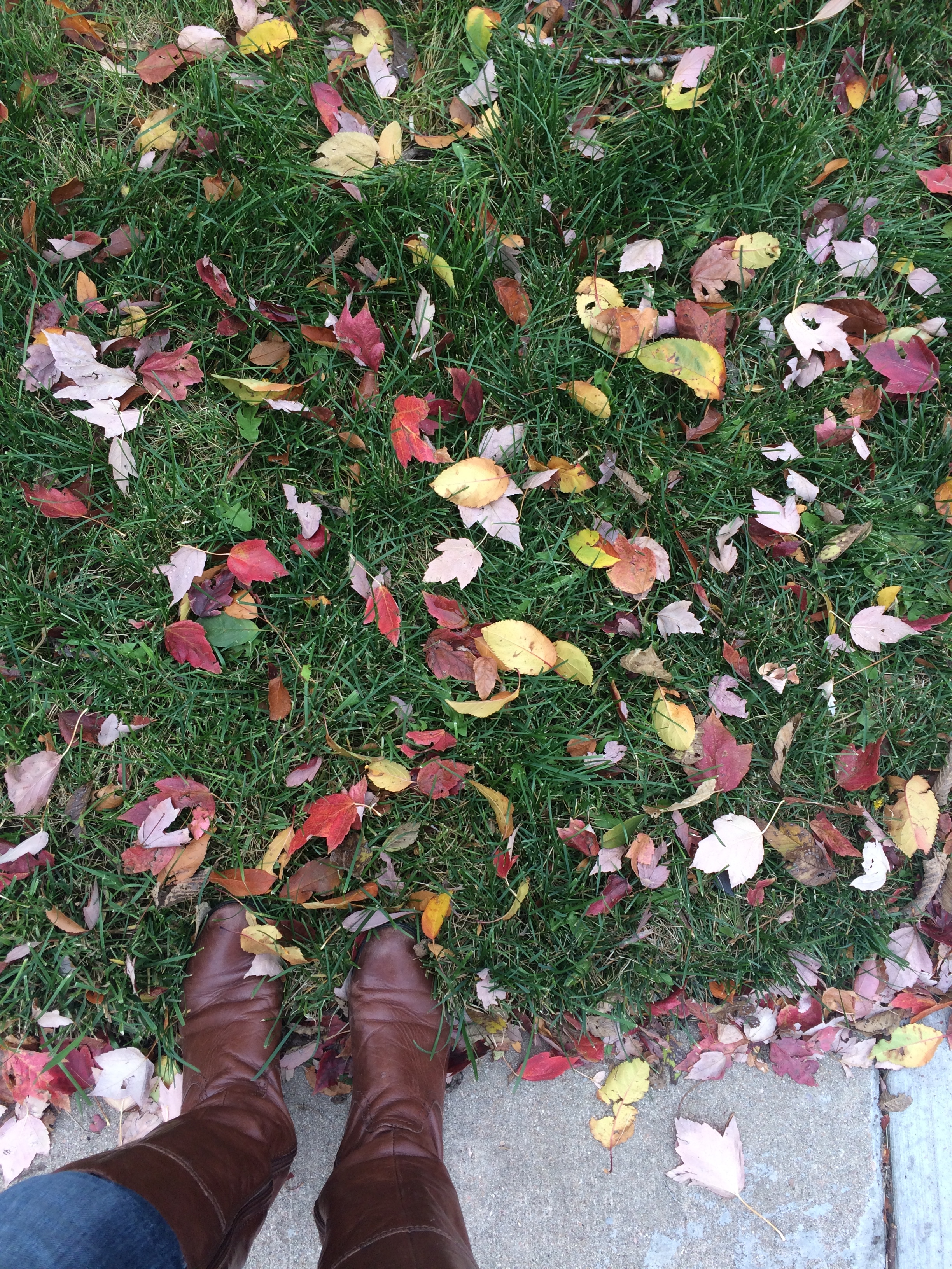 me and my fall boots in the leaves