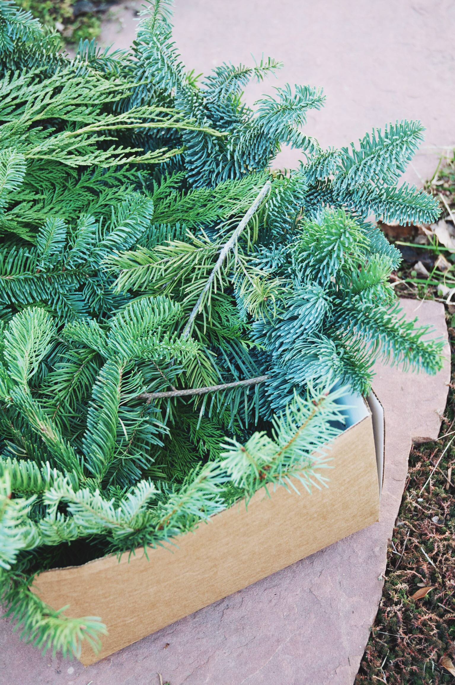 pine cuttings in a box for a wreath