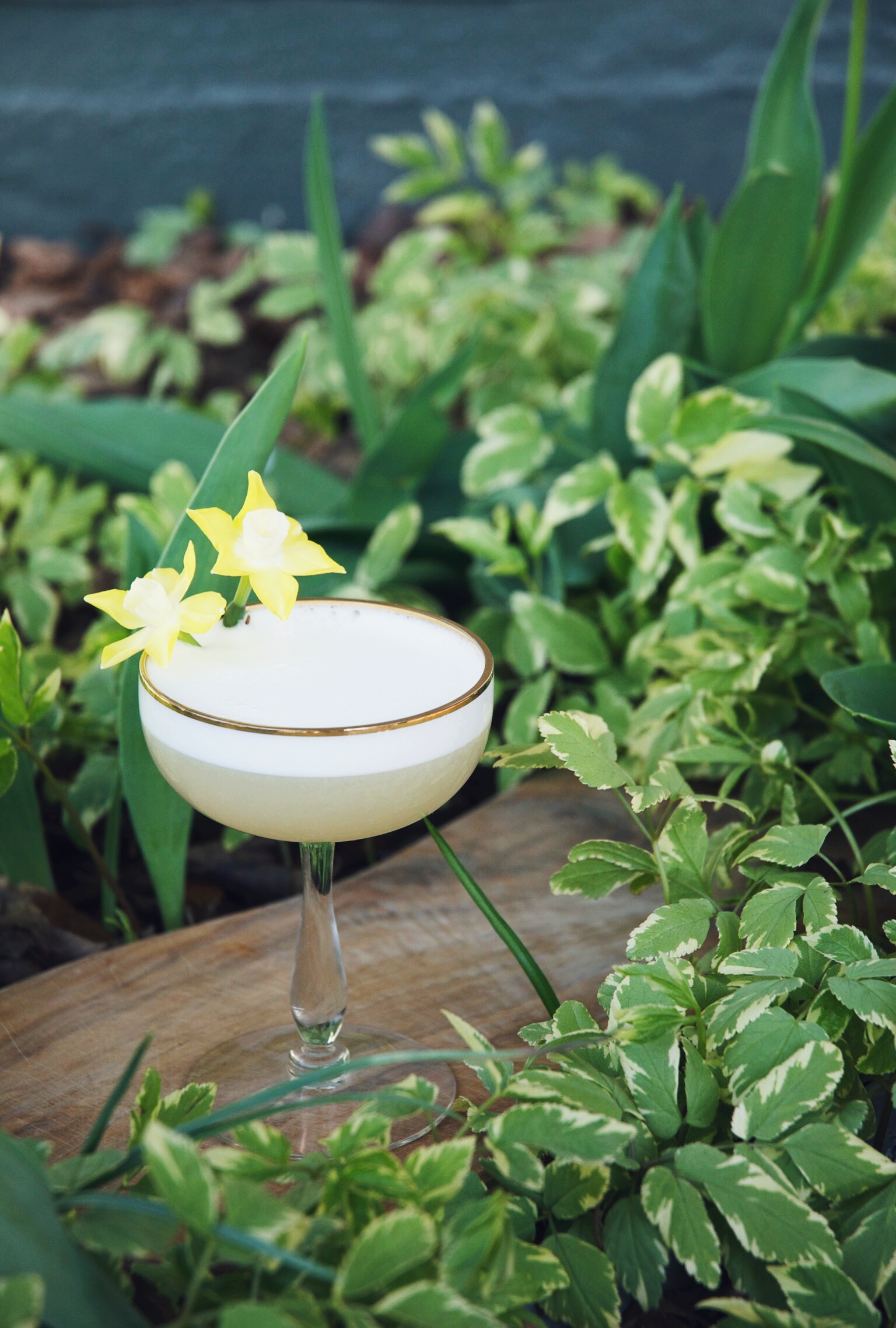 Passion Frosted Gin Fizz, refreshingly sweet and tangy cocktail