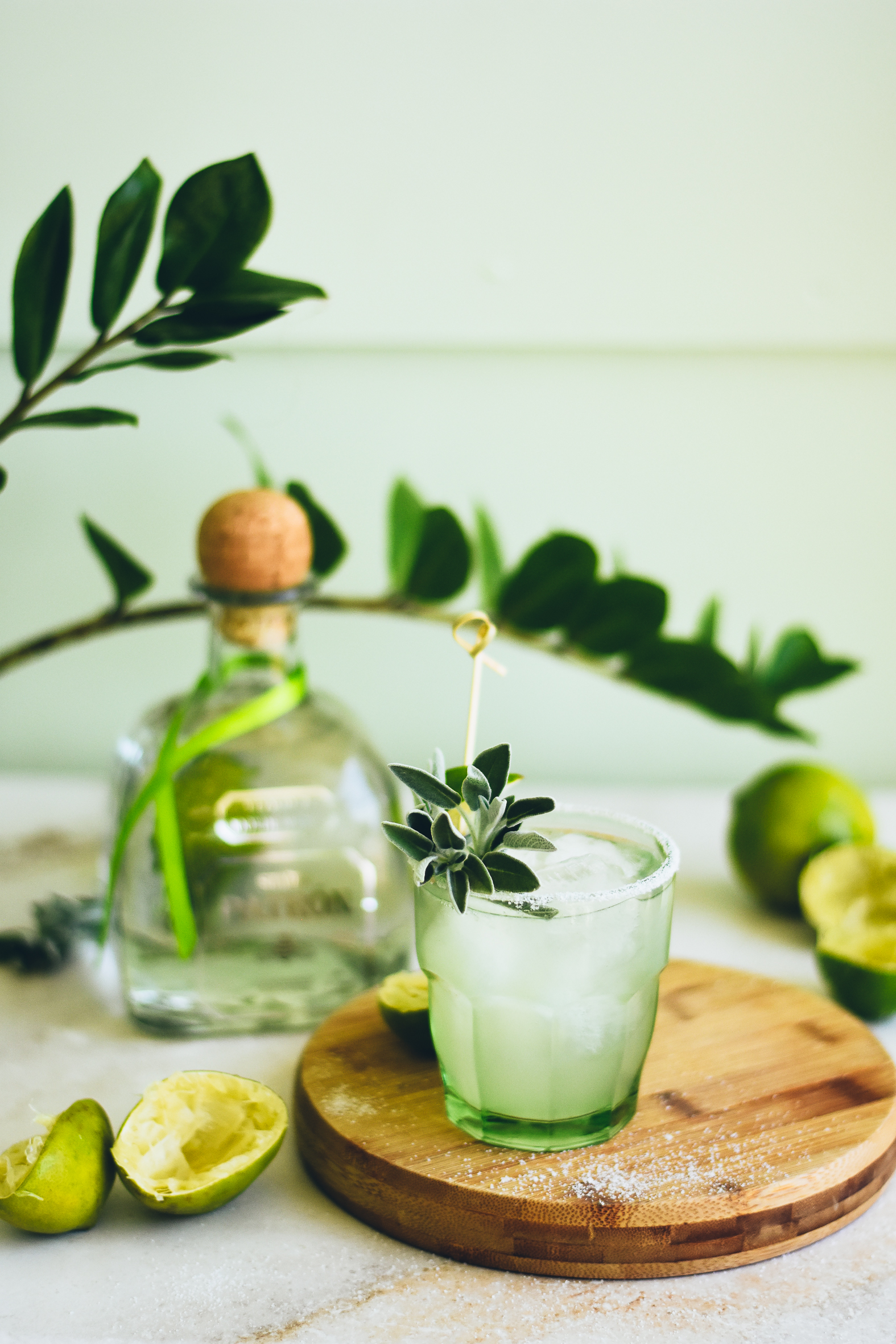 Mojito Margarita - Shake Drink Repeat